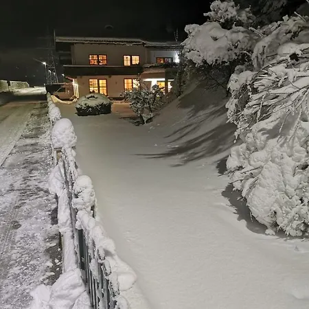 Oberdacher 公寓 *